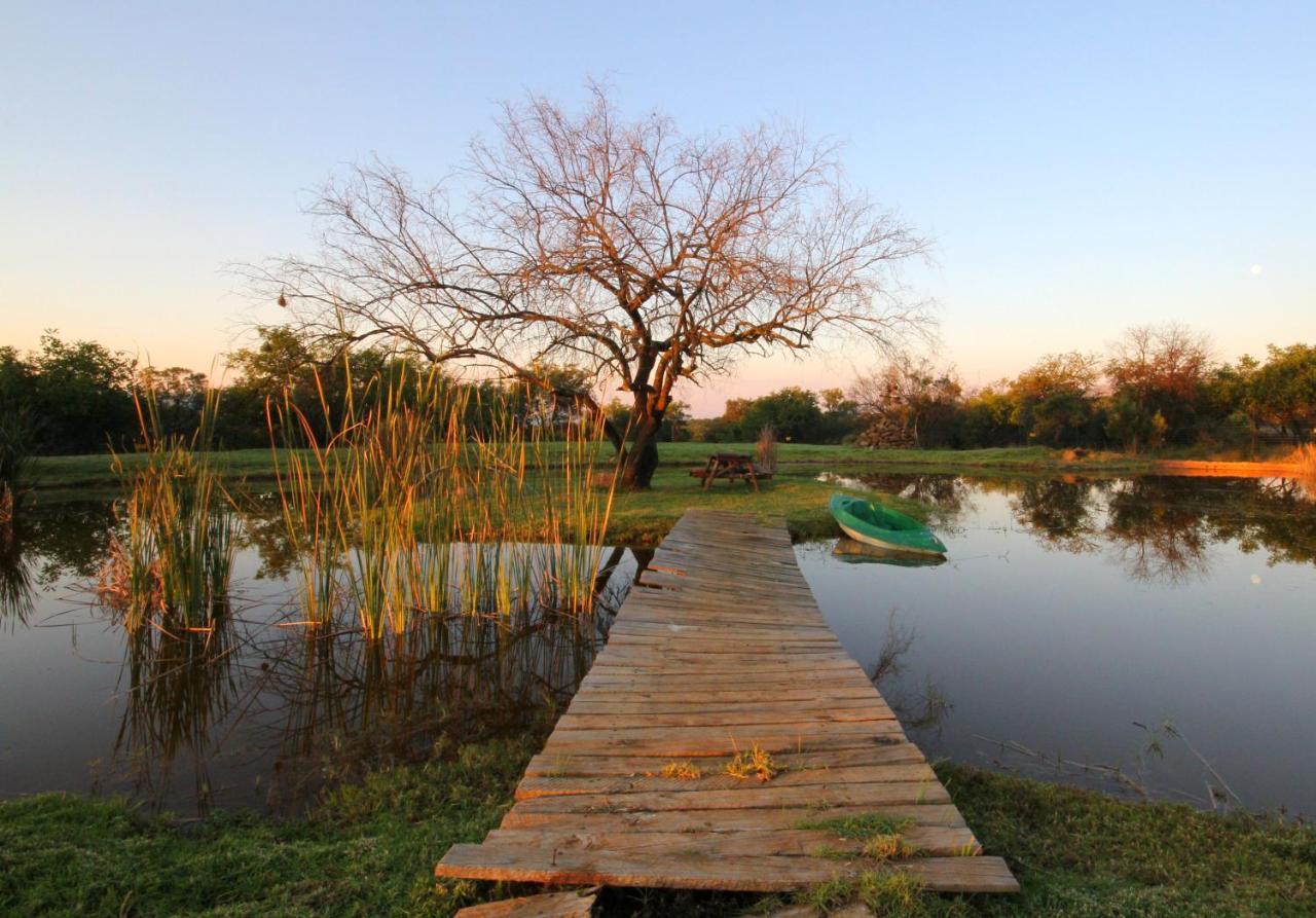 Karee & Wild Olive Guest Lodge Hekpoort المظهر الخارجي الصورة